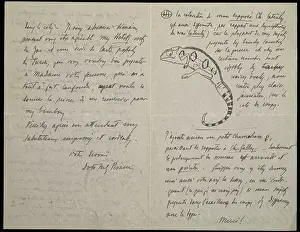Chameleon: From M.G. Peracca to A. Gunther