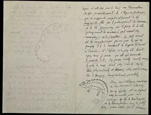 Chameleon: From M.G. Peracca to A. Gunther