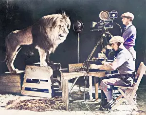 Cinematograph: Mgm Lion