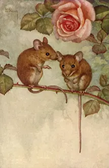 Twig: Mice Beneath Rose