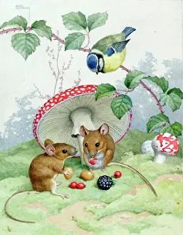 Hopking: Two Mice and a Blue Tit with Toadstools and Berries
