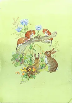 Cloke: Three Mice on branch, two rabbits and wild flowers