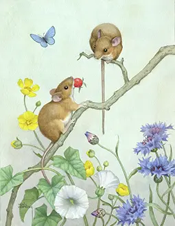 Buttercups: Two mice on branch with a wild strawberry
