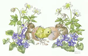 Medici Society (molly Brett): Two mice with a chick hatching from egg