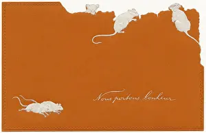 Nibbling: Mice eating the postcard