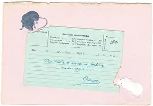 Nibbling: Two mice eating a telegram on a New Year postcard