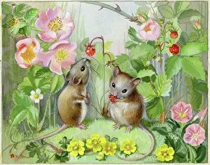 Convolvulus: Two Mice eating wild strawberries