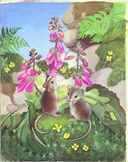 Heda: Two Mice and Foxgloves