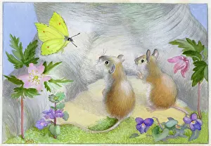Heda: Two mice looking at a yellow butterfly