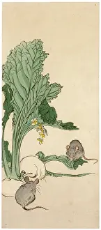 Mice: Two mice nibble at a turnip plant