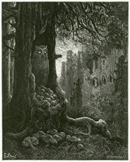 Clips: The Mice and the Owl