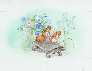 Tortoises: Mice riding a tortoise