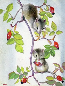 Heda: Two Mice with Rosehips