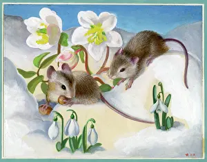 Heda: Two Mice in the snow
