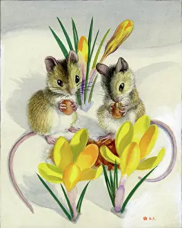 Crocuses: Two mice in the snow with yellow crocuses