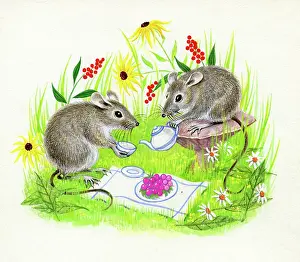 Tansy: Two mice taking tea among flowers