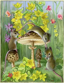 Peas: Three mice on toadstools