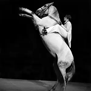 Horsewoman: Michaela Busch