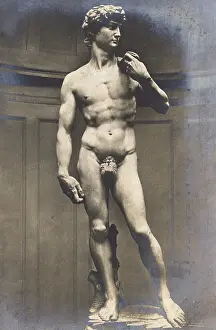 Michelangelos: Michaelangelo's Statue of David