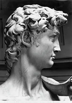 Michelangelos: Michelangelo's David close-up of the