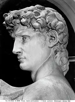 Michelangelos: Michelangelo's David close-up of the