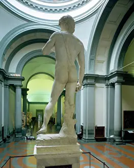 Retaken: Michelangelo's David photographed from behind