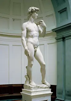 Accademia: Michelangelo's David after restoration completed