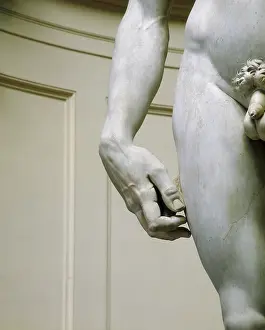 Michelangelos: Michelangelo's David after restoration completed