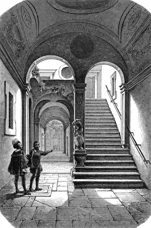 Michelangelos: MICHELANGELO'S HOME