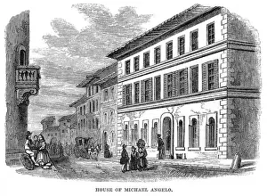 Michelangelos: MICHELANGELO'S HOME