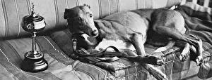 Kempton: Mick the Miller