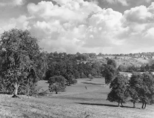 Mickleham: MICKLEHAM PARK
