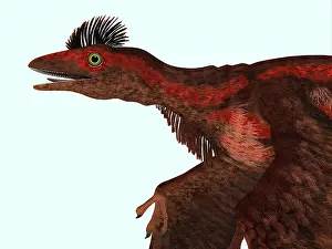 Mongolia: Microraptor dinosaur head