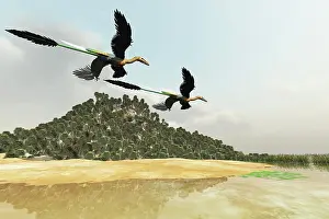 Terrible: Two Microraptor dinosaurs fly over a wetland marsh in ?