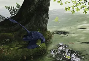 Microraptor gui eating a small fish