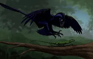 Microraptor: Microraptor hunting a small lizard on a tree branch