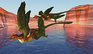 Ravine: Microraptors flying over a canyon during the Cretaceous
