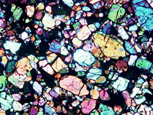 Nesosilicate: Microscope image of the Brachina meteorite
