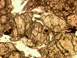 Inosilicate: Microscope image of the Zagami shergottite