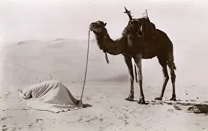 Saharan: Midday Prayers in the desert - Algeria