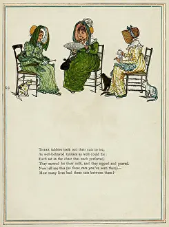 Socialising: Three middle-aged women with their cats