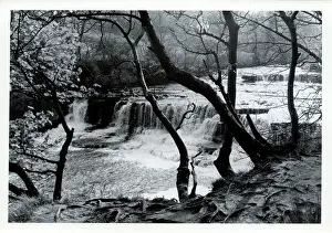 Bedale: Middle Falls, Aysgarth, Yorkshire