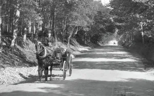 Midhurst: Midhurst, Horse and Carriage 1907