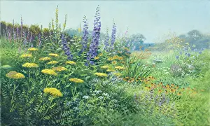 Hollyhocks: The Midsummer Garden