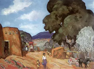 Midsummer in New Mexico
