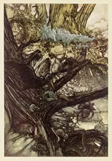 Snakes: Midsummer Nights Dream