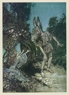 Transformed: Midsummer Nights Dream