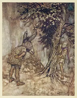 Translated: Midsummer Nights Dream