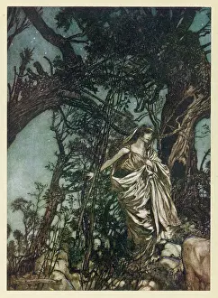 Finds: MIDSUMMER NIGHT'S DREAM