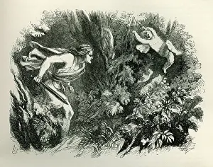 Midsummer: A Midsummer Night's Dream